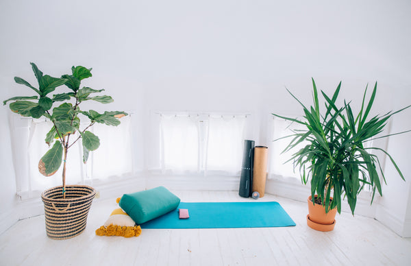 How to Set up a Home Yoga Studio — Simple Tips from Amy Ippoliti