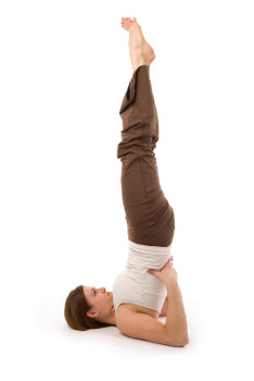 https://www.everydayyoga.com/cdn/shop/articles/Yoga-Young-Woman-Doing-Supported-Shoulderstand-234x350_grande.jpg?v=1558424597