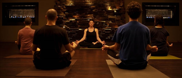 Yoga Studio of the Month: Amrita Yoga & Wellness in Philadelphia, PA