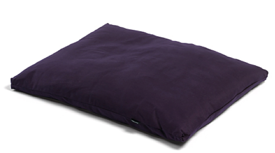 Which Meditation Cushion is Best for You?